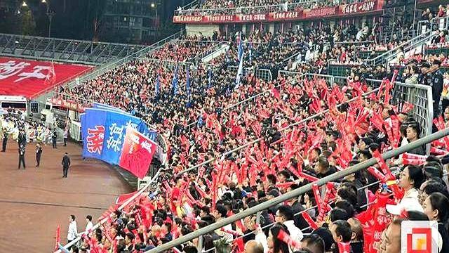 球员人气飙升，备受球迷追捧的简单介绍