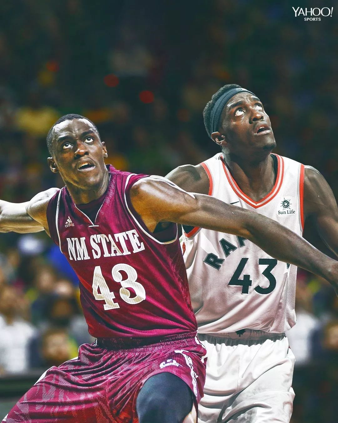 浙江队鏖战上海队,西亚卡姆统治全场 浙江队鏖战上海队,西亚卡姆统治全场