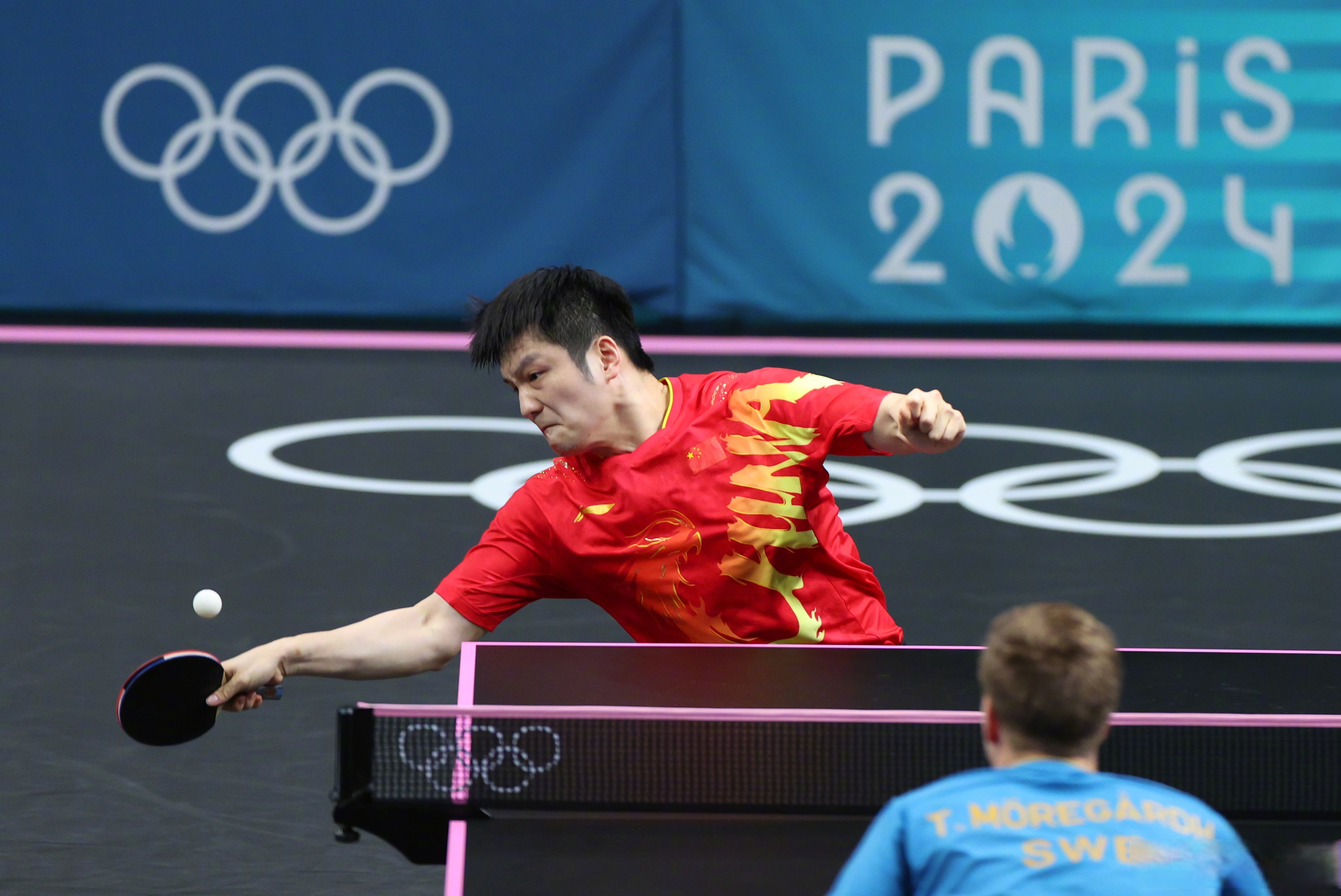 奥地利乒乓球队血洗中国乒乓球队，樊振东爆发神勇的简单介绍