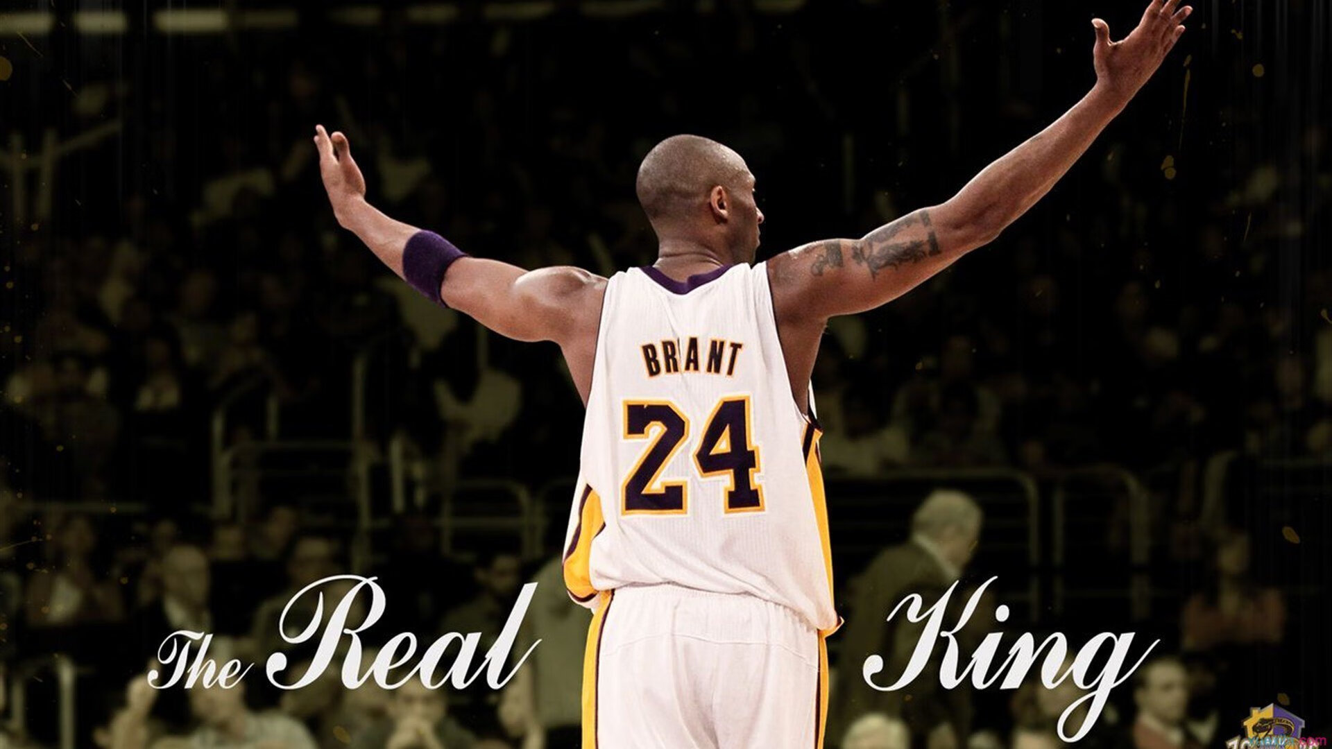 独行侠对阵浙江队，武切维奇压力下完成爆发，诠释逆境中的巨星价值